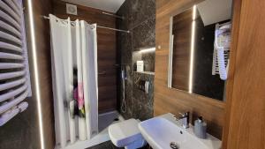 Koupelna v ubytování ASENATA pokoje & apartamenty centrum Ustroń
