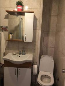 a bathroom with a white toilet and a sink at Cosy house in amazing location. Kadikoy Moda 2BR in Istanbul