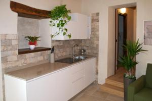 a kitchen with a sink and plants on the wall at Residence Porta Della Muda in Vittorio Veneto