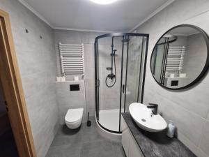 y baño con ducha, aseo y lavamanos. en Apartamenty Herman, 