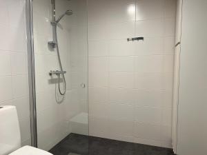 トゥルクにあるCentrum Studio with Balconyのガラス張りのシャワーとトイレ付きのバスルーム