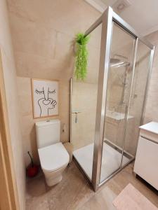 a bathroom with a toilet and a shower at Chalé Zimbro, Serra da Estrela, Penhas da Saúde in Penhas da Saúde