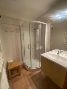 La salle de bains est pourvue d'une douche et d'un lavabo. dans l'établissement Joue du Loup, appartement F3, pied des pistes, à Saint-Étienne-en-Dévoluy