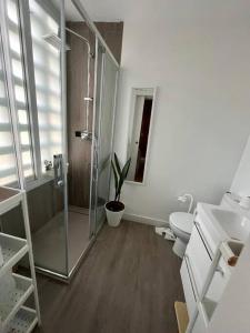 W łazience znajduje się prysznic, toaleta i umywalka. w obiekcie Luxury renovated apartment with terrace in Madrid w Madrycie