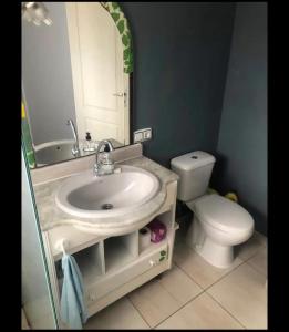 a bathroom with a sink and a toilet at My House Urban in Arrecife