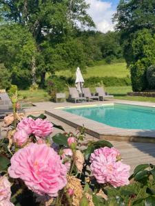 a swimming pool with pink flowers in front of it at Moulin de Laboirie in Bazas