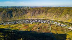 an aerial view of a farm on a hill at Ferienweingut Gansen Hochgenuss 2 in Ernst +11 photos