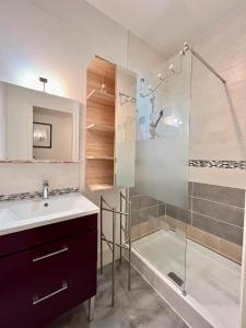 un baño con lavabo y ducha en Résidence Victoria, en Vichy