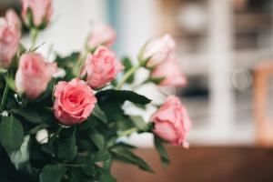 een boeket roze rozen in een vaas bij Apartment Maria Luisa in Dresden