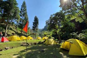 Příroda nedaleko luxury tent + 26 fotografií
