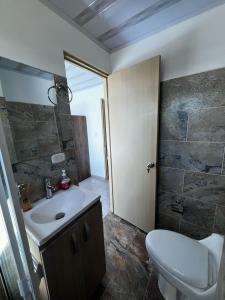 La salle de bains est pourvue d'un lavabo, de toilettes et d'une douche. dans l'établissement Apto Escalini Mansión Pitalito, à Pitalito