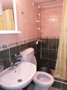 a bathroom with a white toilet and a sink at Studio u selu Mačkat in Mačkat