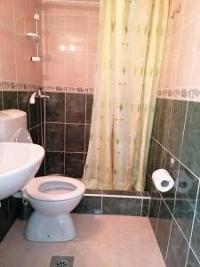 a bathroom with a toilet and a shower curtain at Studio u selu Mačkat in Mačkat