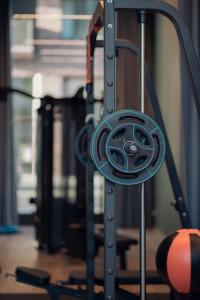 Fitness centrum a/nebo fitness zařízení v ubytování URBAN LOFT Berlin
