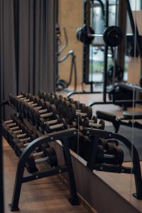 Fitness centrum a/nebo fitness zařízení v ubytování URBAN LOFT Berlin