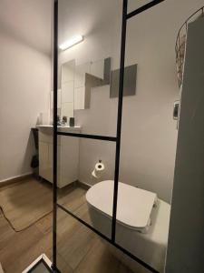 a bathroom with a toilet and a sink at Savoya nr3 Studio Old City Center Self check-in in Timişoara +19 photos