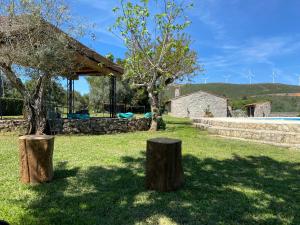 twee boomstronken in het gras naast een huis bij Quinta das Eiras in Penela