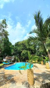 瓦塔姆的住宿－Bamba Kofi Tented Camp，游泳池旁的棕榈树