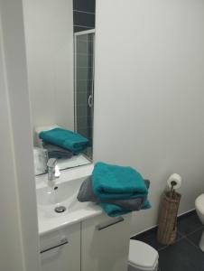 y baño con lavabo y espejo. en L'Altéia - L'appartement les pieds dans l'eau avec place de parking privé et accès direct à la plage, en Berck-sur-Mer