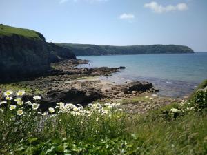a view of a beach with flowers on the shore at Coastal cabin, spectacular views, doorstep woodland walks, sea 5 mins in Pembrokeshire +18 photos