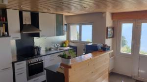 Кухня або міні-кухня у Chalet La Louise avec vue imprenable