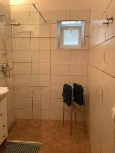 a bathroom with a shower and two black towels at Casa Inglesa Roosa 2 Persoons Accommodatie Appartement Sunny in Relíquias +27 photos