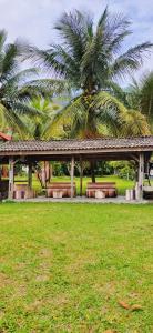 a bench in a park with palm trees behind it at Sarah's Cottage Toba Samosir in Ambarita