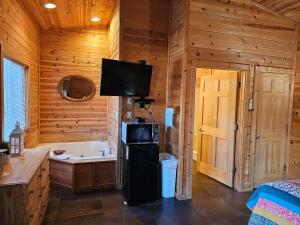 a bathroom with a television and a tub in a cabin at Honey Bear Haven Suite 4 in Eureka Springs