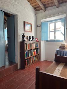 een kamer met een boekenplank gevuld met boeken bij Vale de Camelos Country House, Alentejo, Portugal. in Alcaria Ruiva