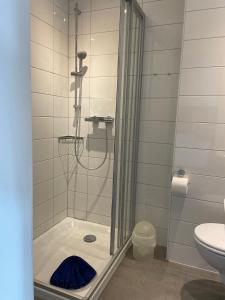 une salle de bain avec douche et toilettes dans l'établissement Haus am Park Sünnig Utsicht, à Norderney