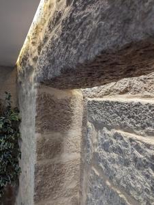 una pared de piedra con una planta al lado en Pedra Nova - Céntrico, Lujoso, en Pontevedra