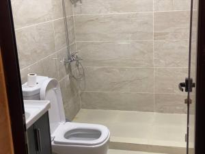 a bathroom with a toilet and a shower stall at Lucas Camp Wadi Rum in Disah