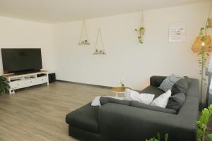 sala de estar con sofá y TV de pantalla plana en Beautiful Apartment 10 min from Zurich! Netflix!, en Schlieren