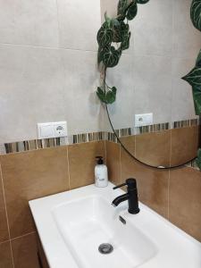 lavabo con grifo y planta en la pared en Cozy apartment in Castalla, en Castalla