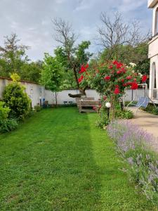 a yard with a bench and red flowers at вила Топи in Kaloyanovo