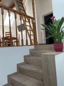 Afbeelding uit fotogalerij van Appartement Lavande - 6 pers avec mezzanine in Hargeville +13 foto's