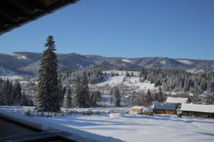 Afbeelding uit fotogalerij van Vila Dorna Royal in Şarul Dornei