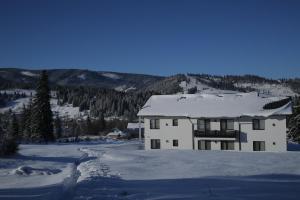 Afbeelding uit fotogalerij van Vila Dorna Royal in Şarul Dornei