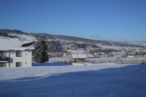 Afbeelding uit fotogalerij van Vila Dorna Royal in Şarul Dornei +22 foto's