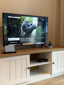 TV de pantalla plana en la parte superior de un centro de entretenimiento en Apartament Hamptons Perłowa Przystań, en Sianożęty