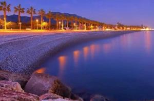a beach with palm trees and water at night at Apartamento Marbi in Les Cases d'Alcanar