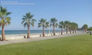 a row of palm trees on a sidewalk near the beach at Apartamento Marbi in Les Cases d'Alcanar +5 photos