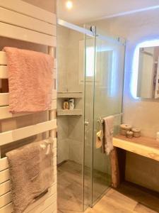 La salle de bains est pourvue d'une douche avec une porte en verre. dans l'établissement Bergerie du Cap Corse, à Macinaggio