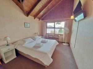 1 dormitorio con 1 cama, TV y ventana en Hosteria Belvedere en Villa La Angostura