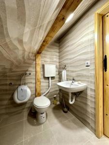 een badkamer met een toilet en een wastafel bij Dream house near city center in Sarajevo