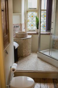 a bathroom with a toilet and a sink and a shower at Studio 2 - Central Location Sleeps 4 in Norwich