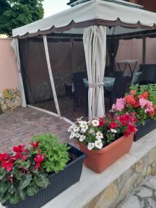 three potted plants on a patio under an umbrella at B&B Villa Jasiga in Fregene