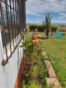 une clôture avec des fleurs sur le côté d'une maison dans l'établissement Casa Ymelda, à Desaguadero