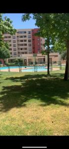 a park with a tree and a swimming pool at Arriendo Departamento in Santiago