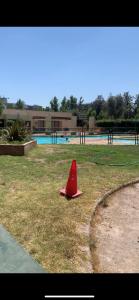 um cone vermelho sentado na relva ao lado de uma piscina em Arriendo Departamento em Santiago